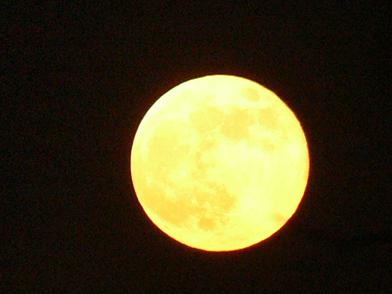 20061019_lune.jpg