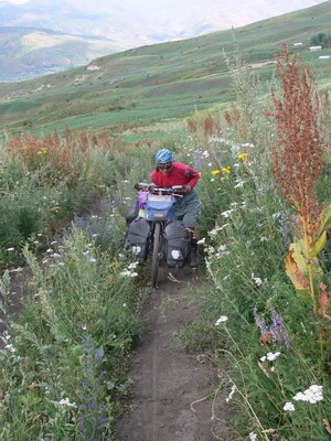 Images_Site/Singletrack.jpg